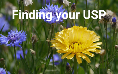 Finding your USP