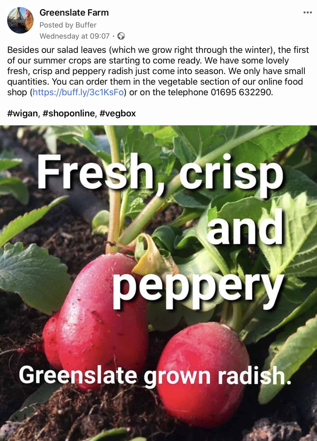 Post about Greenslate Radish