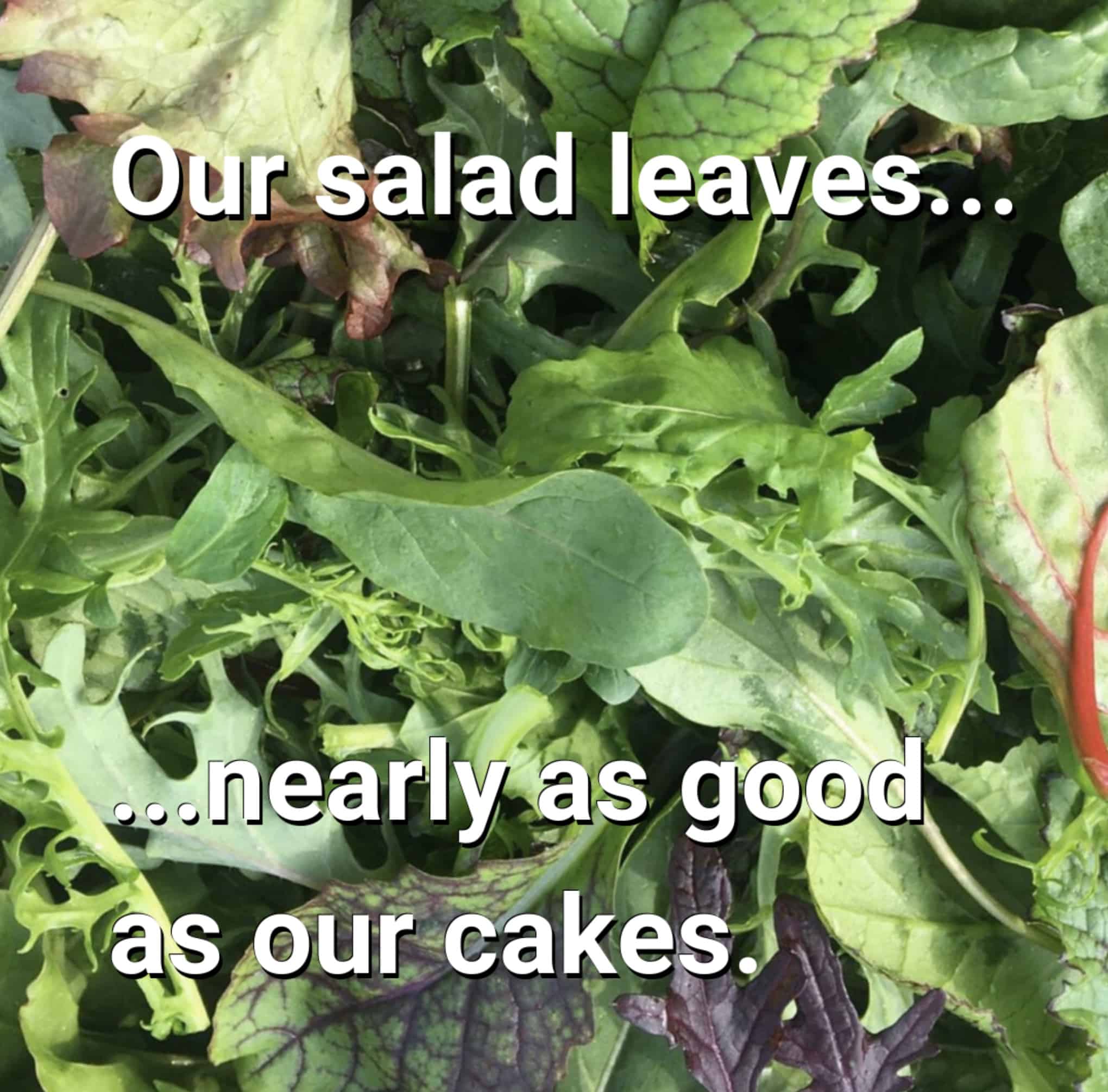 Salads nearly as good as cakes